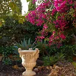 Le Jardin De Teresa Algoz