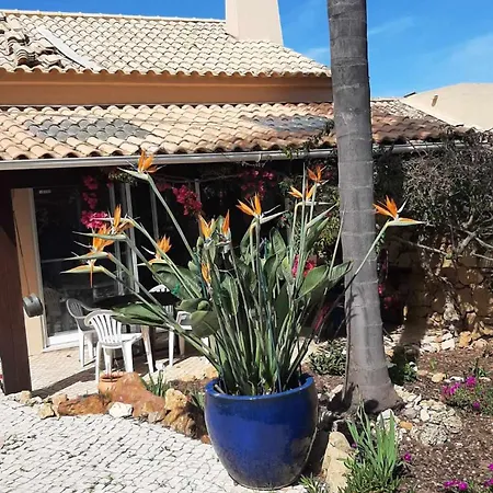 Villa Le Jardin De Teresa *