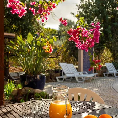 Le Jardin De Teresa *