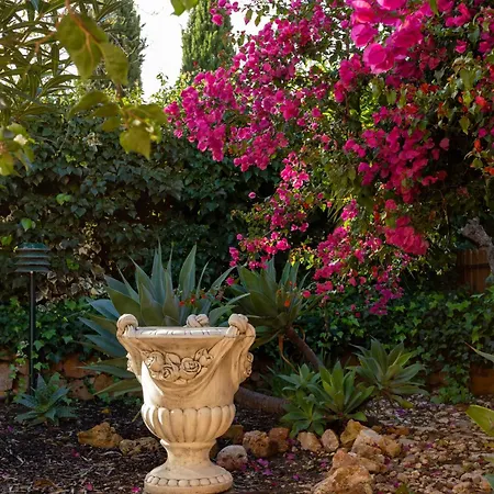 Le Jardin De Teresa Algoz