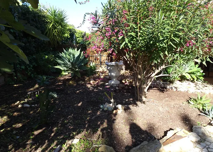 Le Jardin De Teresa Villa Algoz