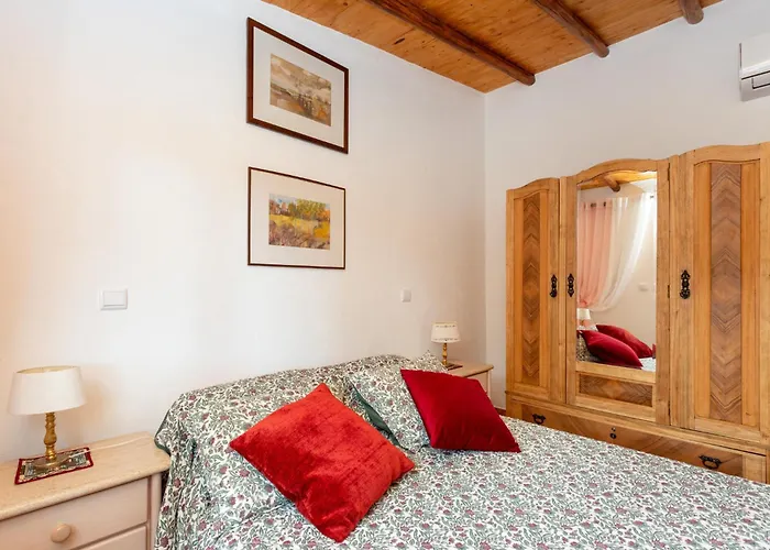 Le Jardin De Teresa Algoz