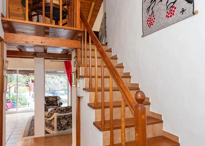 Le Jardin De Teresa Algoz