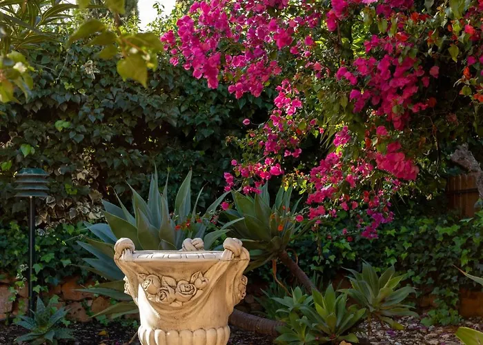 Le Jardin De Teresa Algoz