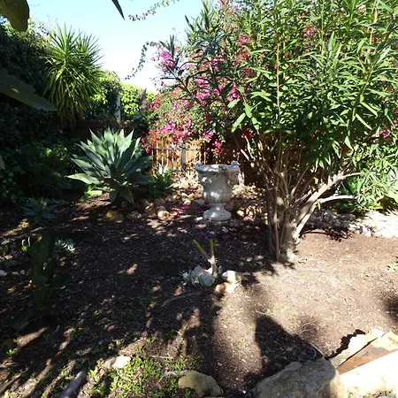 Le Jardin De Teresa Willa Algoz